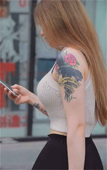 男主姓霍女主是明星