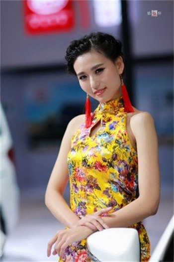 我和我的研究生s小狼