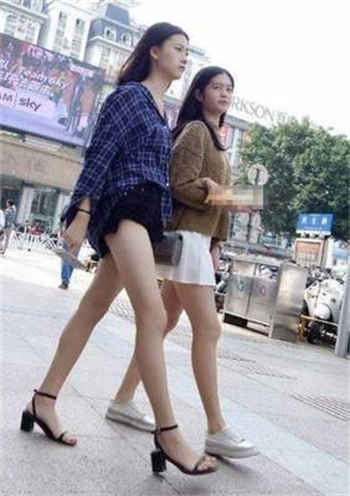 帝少的囚宠