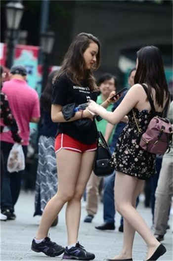 视频下载猫爪插件怎么用