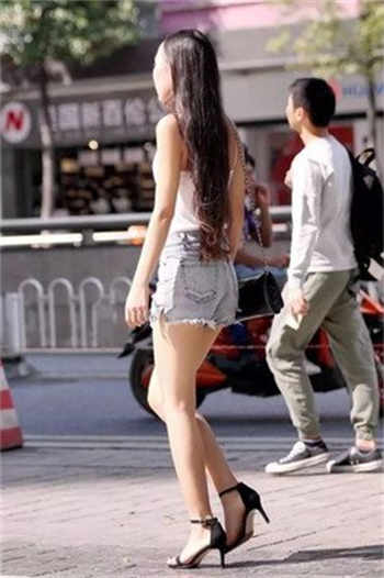 老镖客常用网站免费