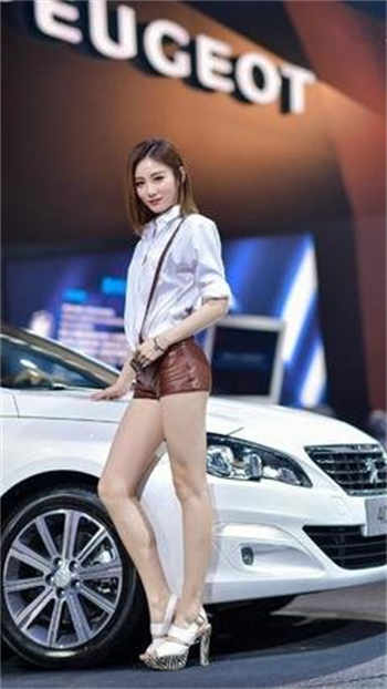 萝球社小说角色结局