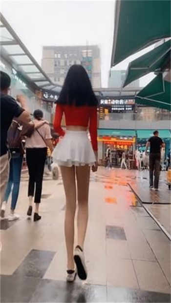 喵视频会员口令