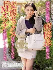 双马尾赛高全套