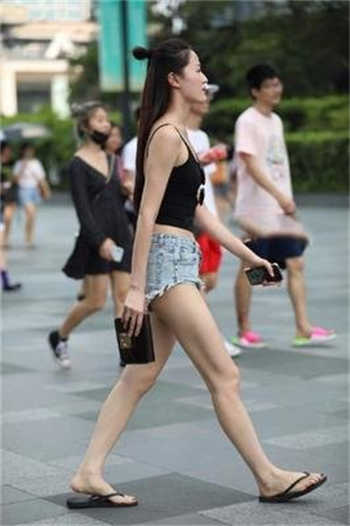 仙踪林导航网页app